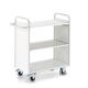 Bürowagen L1180xB500xH1070mm lichtgrau m.2 Wänden ROLLCART