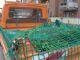 Detailbild
