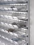 Wandsystem H1000xB1010xTmm STA verz.m.Sichtlagerk.45xMK5,12xMK4 transp.TECWERK