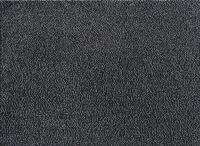 Schmutzfangmatte Eazycare Rush kohlengrau L900xB600xS8,5mm