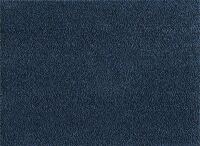 Schmutzfangmatte Eazycare Rush schiefergrau L900xB600xS8,5mm