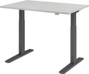 Schreibtisch Teda-P H700-1200xB1200xT800mm lichtgrau Gestell graphit