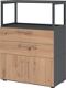 Regalschrank FlexWall H1100xB800xT417mm graphit/asteiche m.Stellfüßen