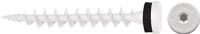 Isolierplattenschraube, NW-Nr.: 5000601358 IPS 80 L.80mm signalweiß, 50 St./Karton CELO   