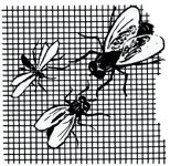 Insektenschutzgitter H. 60mm grau Fiberglas Draht-D. 0,26mm Maschen-W. 1,4mm 25m