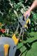 Detailbild