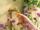 Detailbild