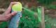 Detailbild