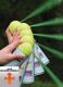 Detailbild