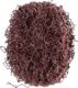 Schleifvliesscheibe POLINOX D.40mm medium 100 braun PFERD