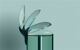Detailbild