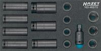 Werkzeugmodul 163-463/15, NW-Nr.: 8000465290 15-tlg.Anz.Werkzeuge:15, HAZET   