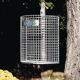 Abfallkorb, NW-Nr.: 9194491022 H400xB430xT210mm 27l, Drahtgitter verz.m.gelochtem BD