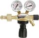 Flaschendruckminderer BaseControl Argon/CO2 200bar m.Ventil 24l/min GCE