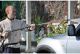 Detailbild