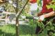 Detailbild