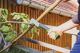 Detailbild