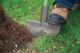 Detailbild