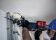 Detailbild