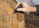 Detailbild